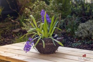 Woodlodge Retreat - 1