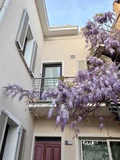 B&B Glicine - 8