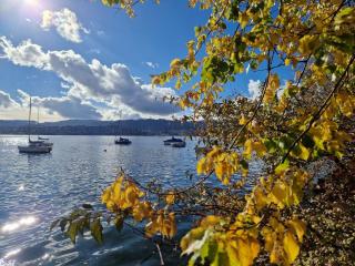 Apartment in Zurich City Center-Seefeld - 9