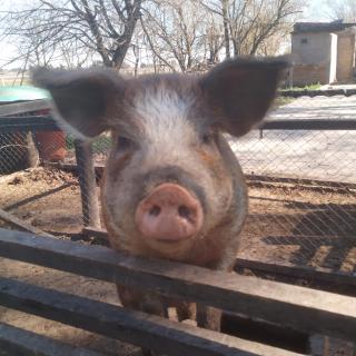 La Posada del Sol - 3