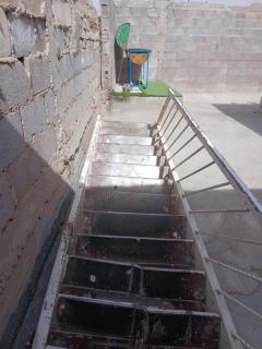 Joya rosa de la tranquilidad - 2