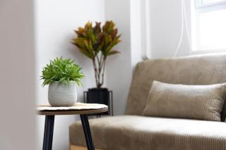 Prime Location in Miraflores Modern Apartment - 4