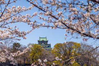 エクセレンス大阪城公園 Osaka Castle Suite - Best for Cherry Blossoms & Park Views - Central Stay - 9