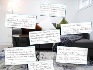 New and Modern Entire Basement Separate Entrance Lower Level Suite - 7