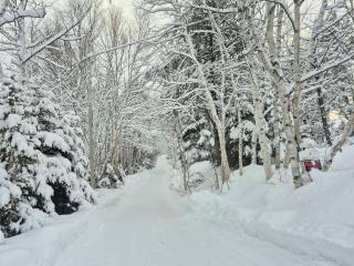 Le Chouette Chalet - 2