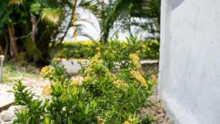 Sunny Days Villa At Playa Hermosa - 6