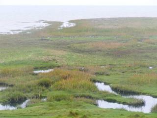 16 person holiday home in Rømø - 7