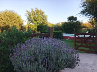 Cabañas Don Luis - 0