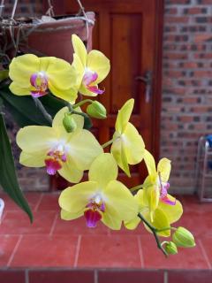 TAM FAMILY HOMESTAY and RESTAURANT - 5