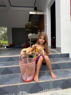 TAM FAMILY HOMESTAY and RESTAURANT - 6