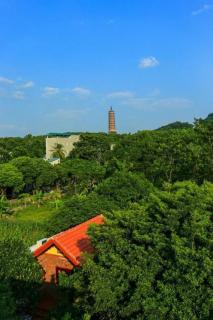 TAM FAMILY HOMESTAY and RESTAURANT - 9