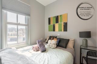 1 Private Double Room in Sydney CBD Near Train UTS DarlingHar&ICC&Chinatown with ensuite - ROOM ONLY - Sydney - 0