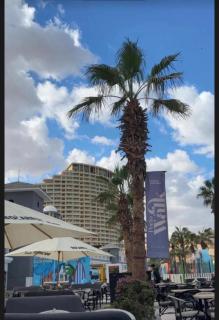 Porto Elsokhna Pyramids - 8