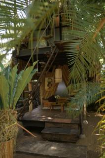 MONSOON Eco Resort - 5