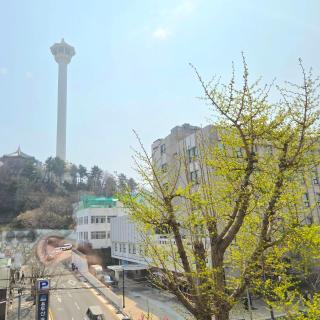 네스트 오브 남포 Nest of Nampo #Busan tower - 6