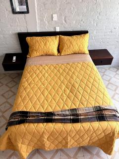 Signature design with natural light - 2