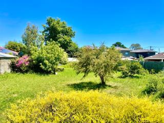 Sun-Drenched Quiet Double Room with Private Lock Free street parking - 2