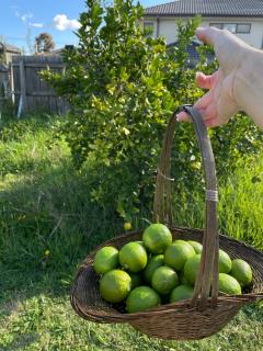 Spacious and cozy room King size bed Free parking Quiet Private - 1