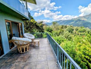 Butterfly Nest Ella - 2