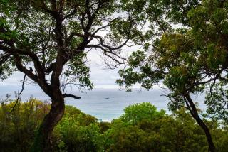 Tree House By The Sea - Ducted Air Con - Brand New Build - 0