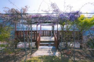 Cloudview Cottages by Tiny Away - 5