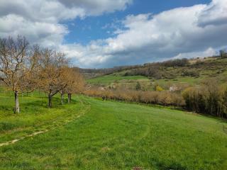 Nature et calme dans grand gîte de charme - 5