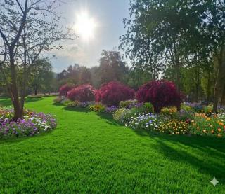 Kaengkrachan Diamond Green Resort - 8