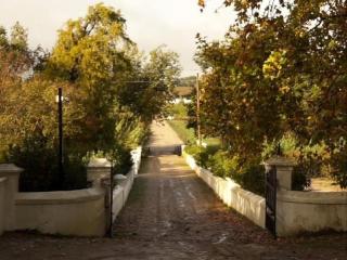 Naby Farm Country Haven - 6
