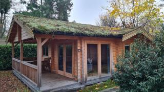 Veluwe - Green Finnish lodge at De IJsvogel - Swimming pools, sauna, sports, kids fun, restaurants, forest, and heath - 1