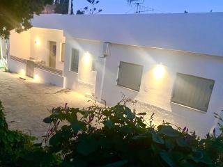 White Nest - 8