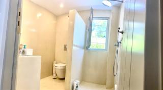 White Nest - 6