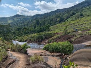 FeelATHome STAY - Near sinharajaya - 8