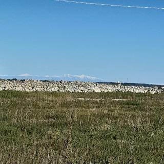 Giardino Romanelli - 7