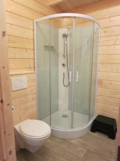 Veluwe - Green Finnish lodge at De IJsvogel - Swimming pools, sauna, sports, kids fun, restaurants, forest, and heath - 4