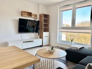 EASY RENT- Saski Point, 24h Check-in - 7