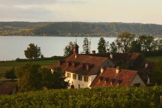 Hotel St Petersinsel - 9