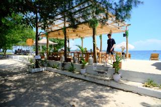 Jungle Gili Air - 9