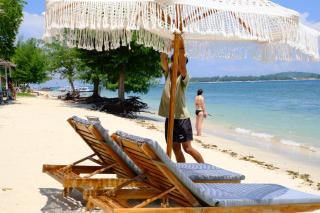 Jungle Gili Air - 3