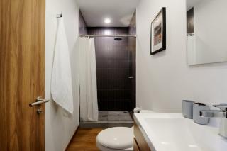 Serviced Studio in Mexico City - 4