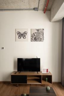 Furnished Studio in Mexico City - 9