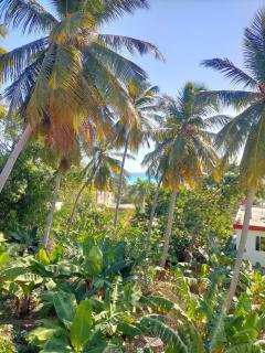 Apartment, 4 Beds, 1 Bath, AC, Wi-Fi, Hot Water, 7 people, near river & beach - 7