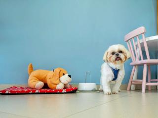 ibis budget Piracicaba - 9