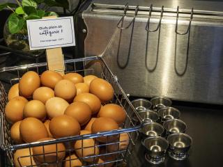 ibis Dole Sud Choisey - Dole - 1