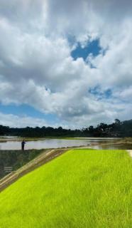 Sambrama Wood house - 1