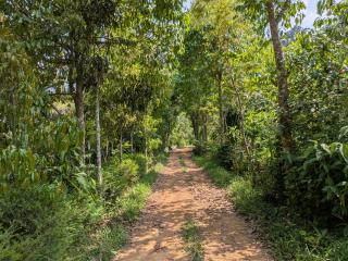 Sambrama Wood house - 1