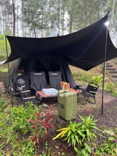 Pakis Camping Cikole - 9