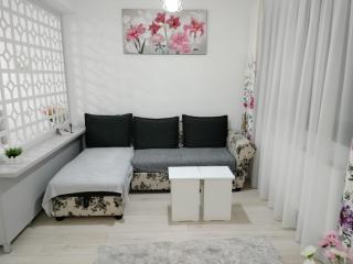 Modern Studio near Coresi Mall w. parking - 3