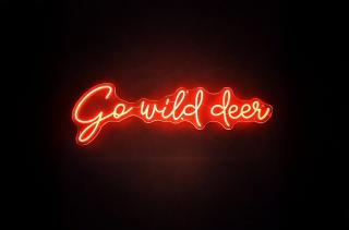 Wellness Tuin - Ultieme Partner Beleving - St Hubertus Suite met Indoor Jacuzzi, Openhaard, Privé Hottub en Privé Sauna in Jachthut stijl - Gratis Fles Prosecco & Leuke Partner connect box ! - Horst - 1