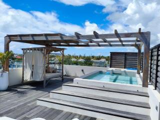 Penthouse tropical, rooftop et piscine privée - 8