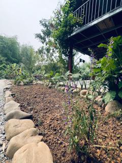 Pák Pe Homestay - 2